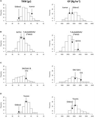 Combining QTL Analysis and Genomic Predictions for Four Durum Wheat Populations Under Drought Conditions